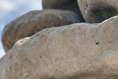 TCKF_12S_8525-scaled