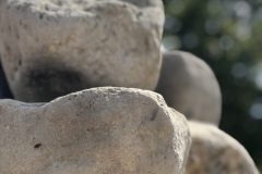 TCKF_12S_8526-scaled