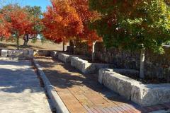 BTM_2020-Maples-LG_3601-FAV