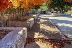 BTM_2020-Maples-LG_3602-FAV