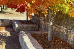 BTM_2020-Maples-LG_3607-FAV