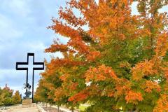 BTM_2021-Maples-11.21.21_8640-FAV