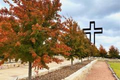 BTM_2021-Maples-11.23.21_8721FAV