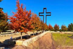 BTM_2021-Maples-11.29.21_8775FAV