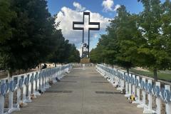 HCCWM_tckfcrosses_blankley