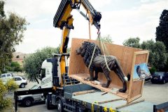 LOJ_unloading_FAV