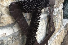 TCKF_ONUG_8380-scaled