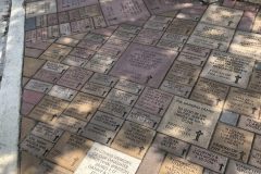 Pavers_8503-scaled