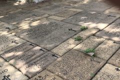 Pavers_8529-scaled